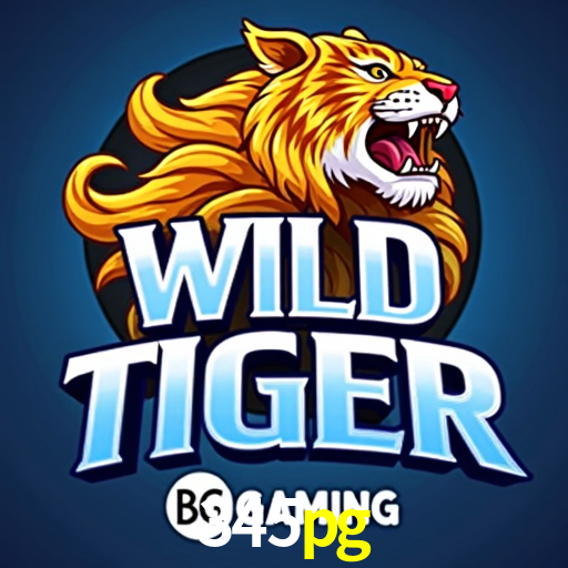 Game Providers 345pg